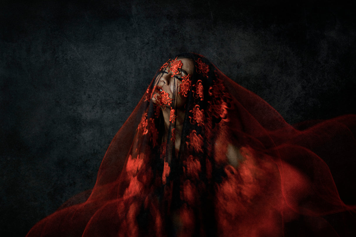 The Girl Behind the Red Riding Hood Poster och Canvastavla