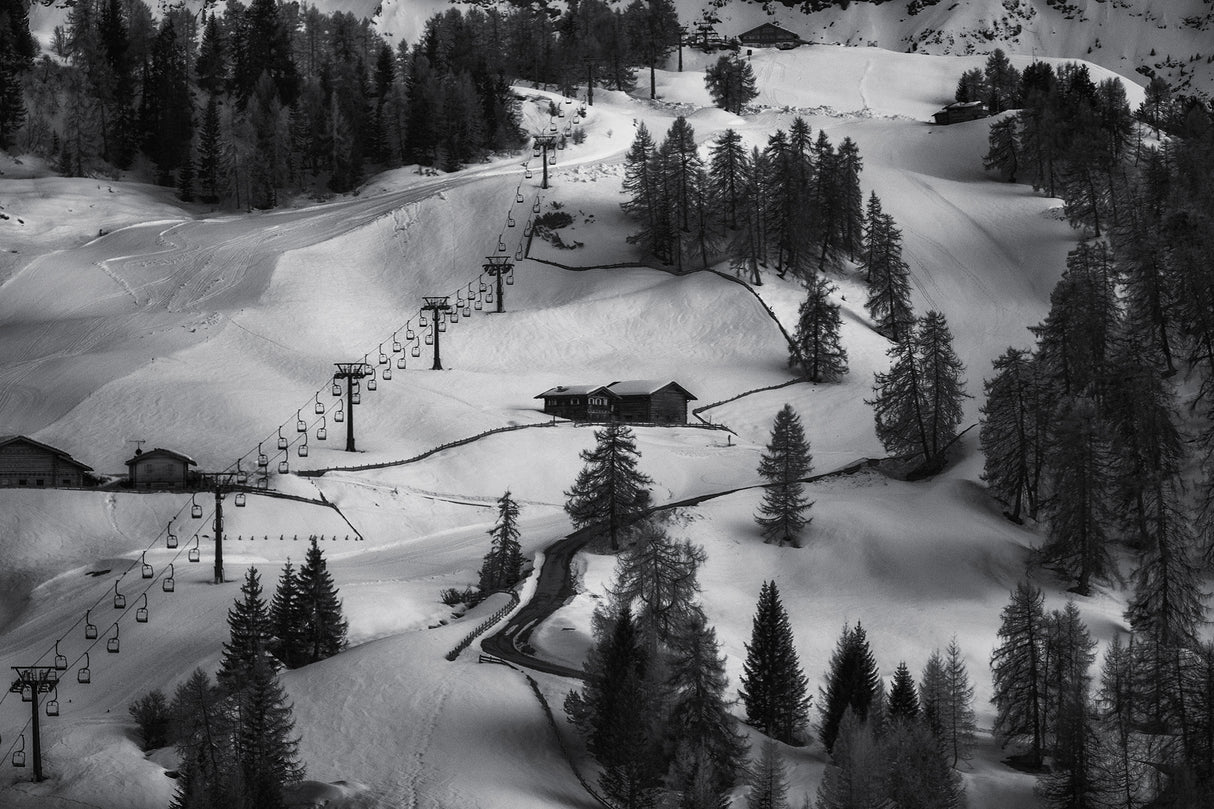 winter scape Poster och Canvastavla