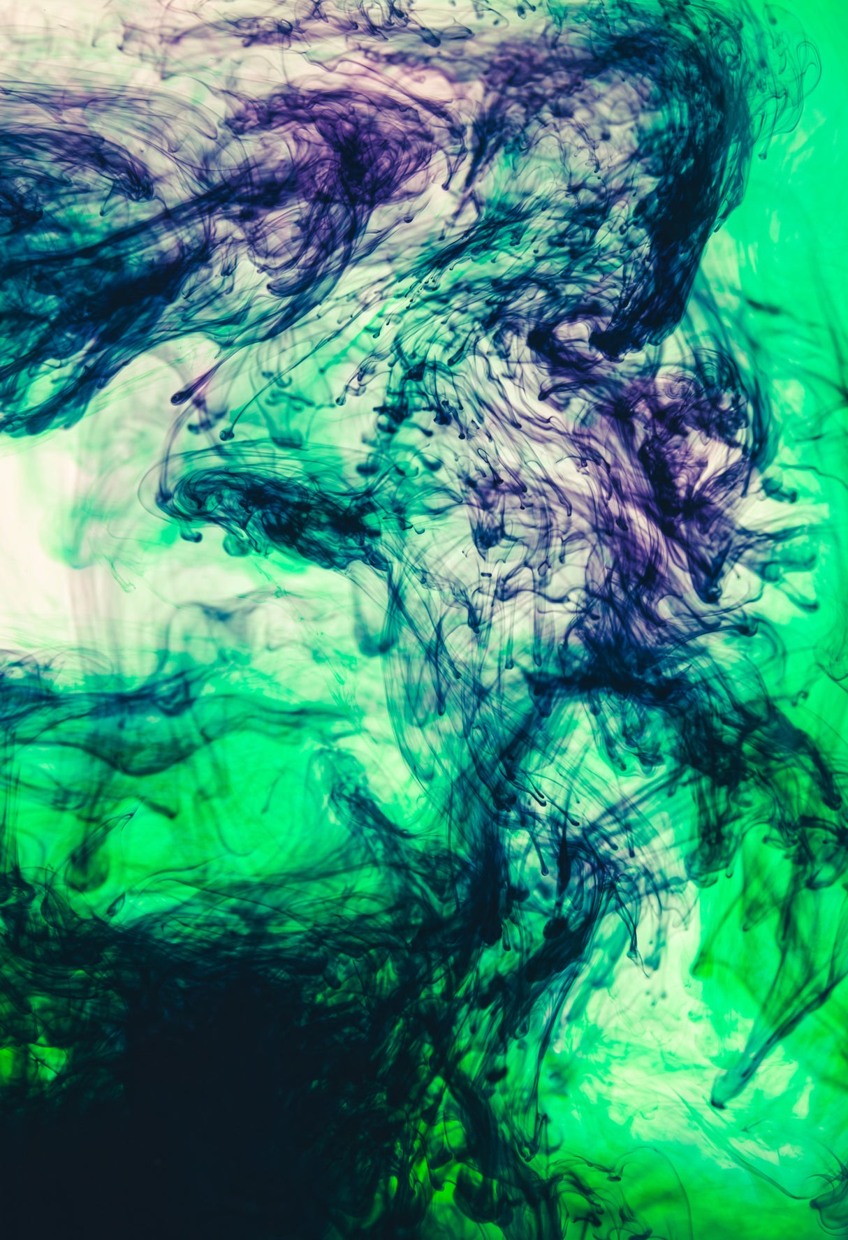 Acrylic colors and ink in water Poster och Canvastavla
