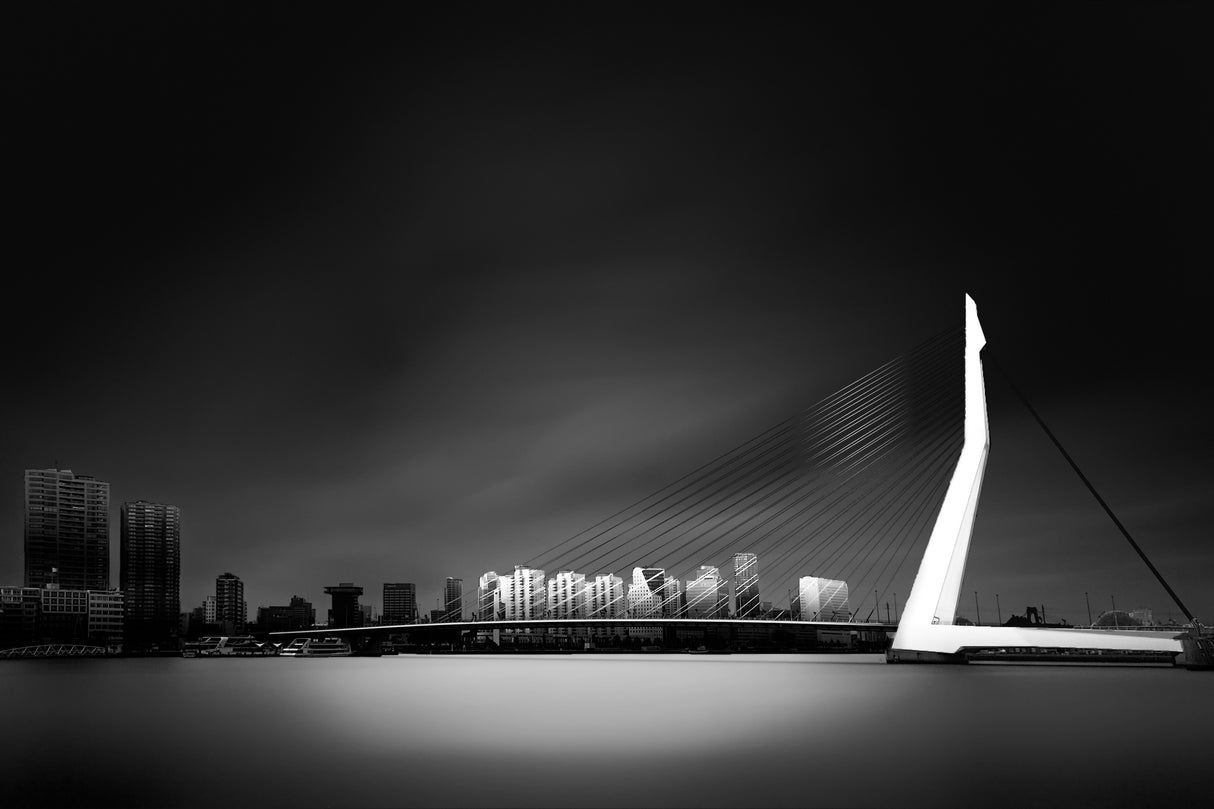 Erasmus Bridge Rotterdam Poster och Canvastavla