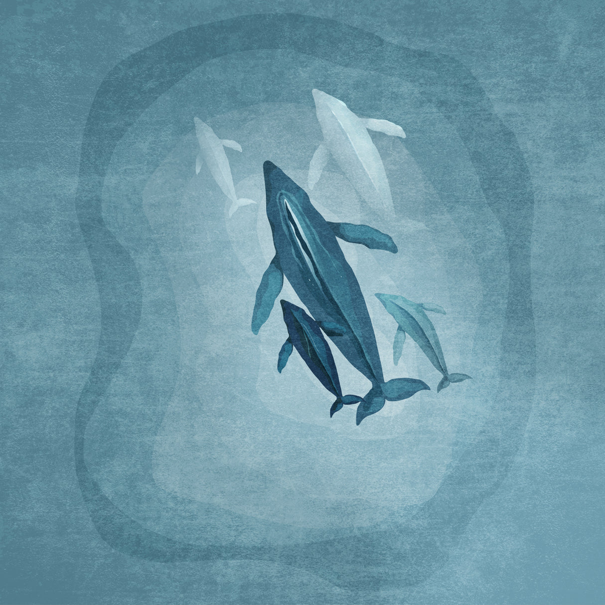 Whalesfamily Poster och Canvastavla