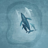 Whalesfamily Poster och Canvastavla