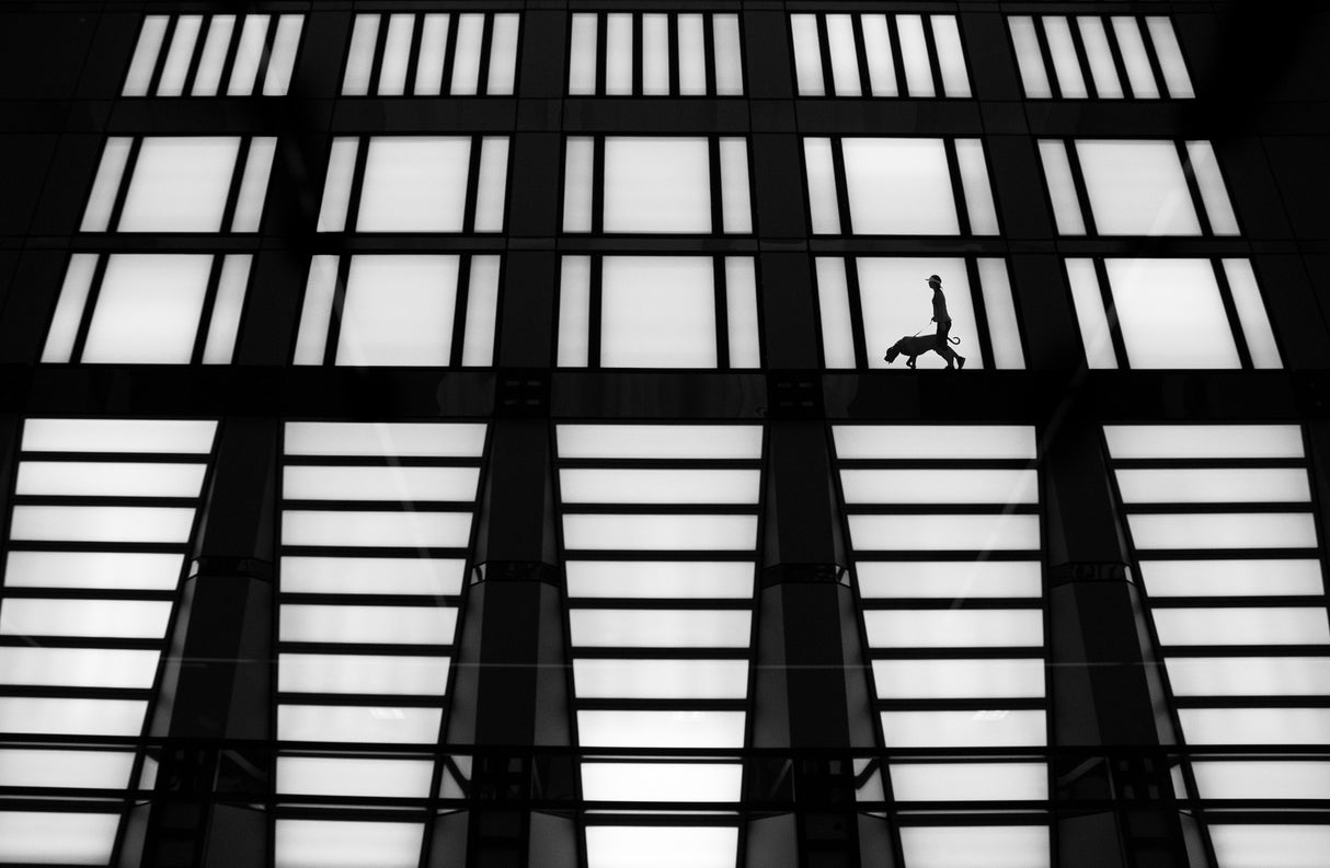 Walking up High Poster och Canvastavla