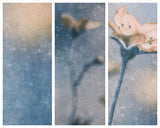 Blue Winter (Triptych) Poster och Canvastavla