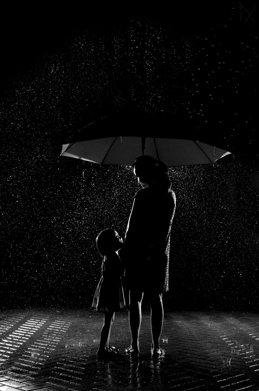 Love in the Rain Poster och Canvastavla