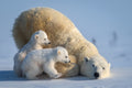 Mum, Play together Poster och Canvastavla