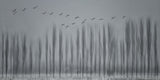 Beauty giving you 'goose'  bumps Poster och Canvastavla
