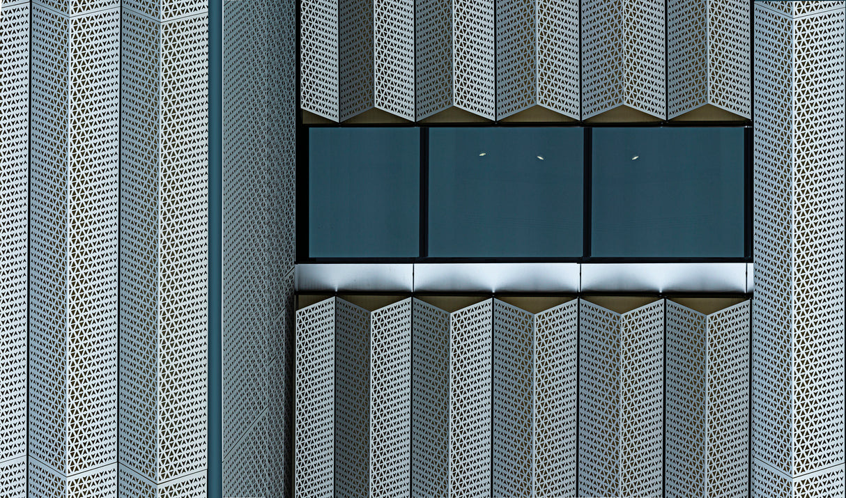 Reversals Poster och Canvastavla
