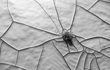 Clay Cracks Poster och Canvastavla