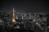 Tokyo at night Poster och Canvastavla
