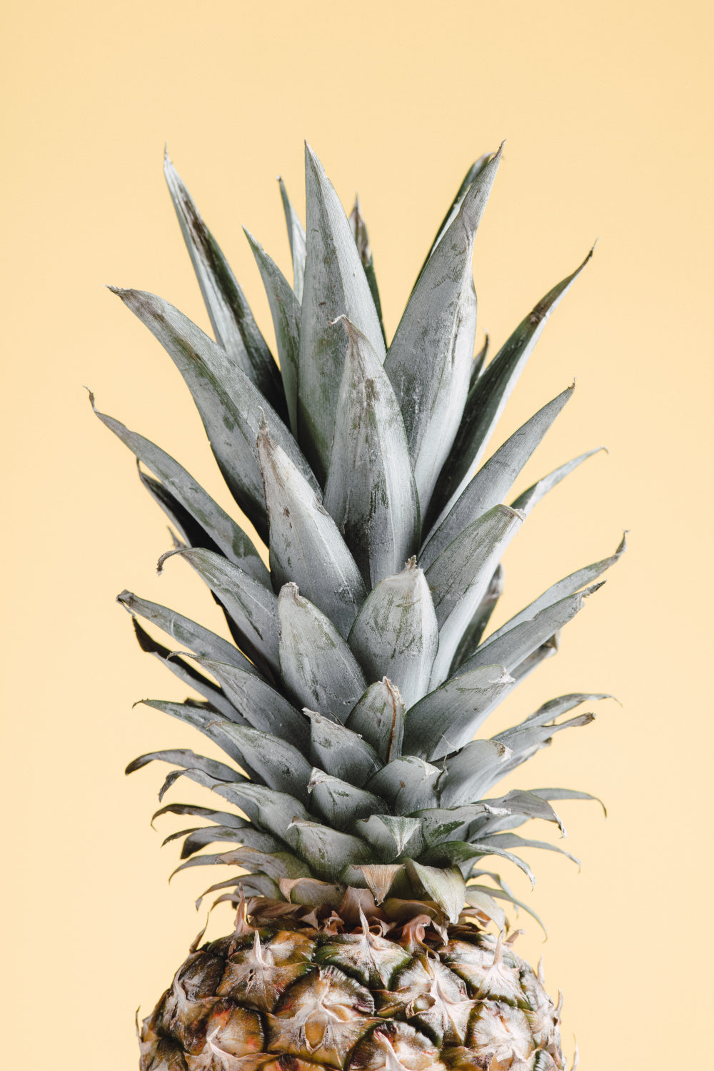 Pineapple Yellow 04 Poster och Canvastavla