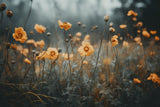 Orange Poppy Poster och Canvastavla
