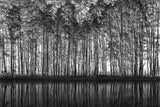 Pointillism Nature Poster och Canvastavla