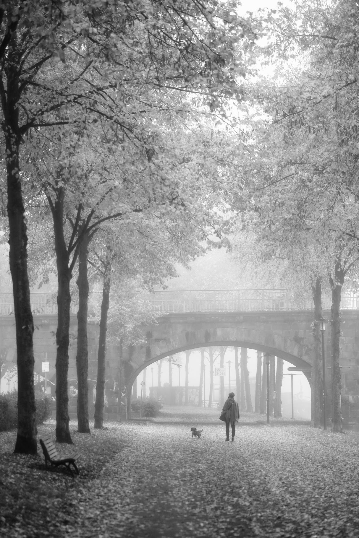Autumn morning Poster och Canvastavla