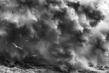 BIRDS IN THE STORM (Part 2) Poster och Canvastavla