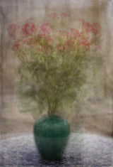 Roses on a Tuesday Poster och Canvastavla