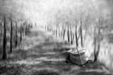 On the silent way Poster och Canvastavla