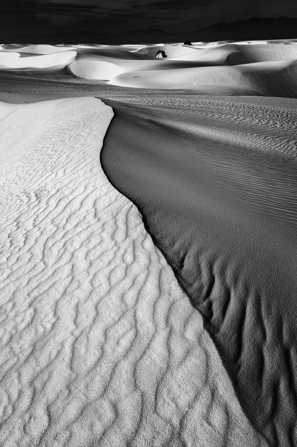 Sand Waves Poster och Canvastavla