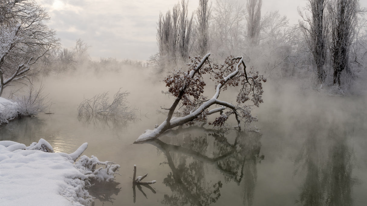 Fog over the water Poster och Canvastavla