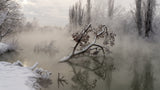 Fog over the water Poster och Canvastavla