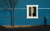 Shadow Poster och Canvastavla