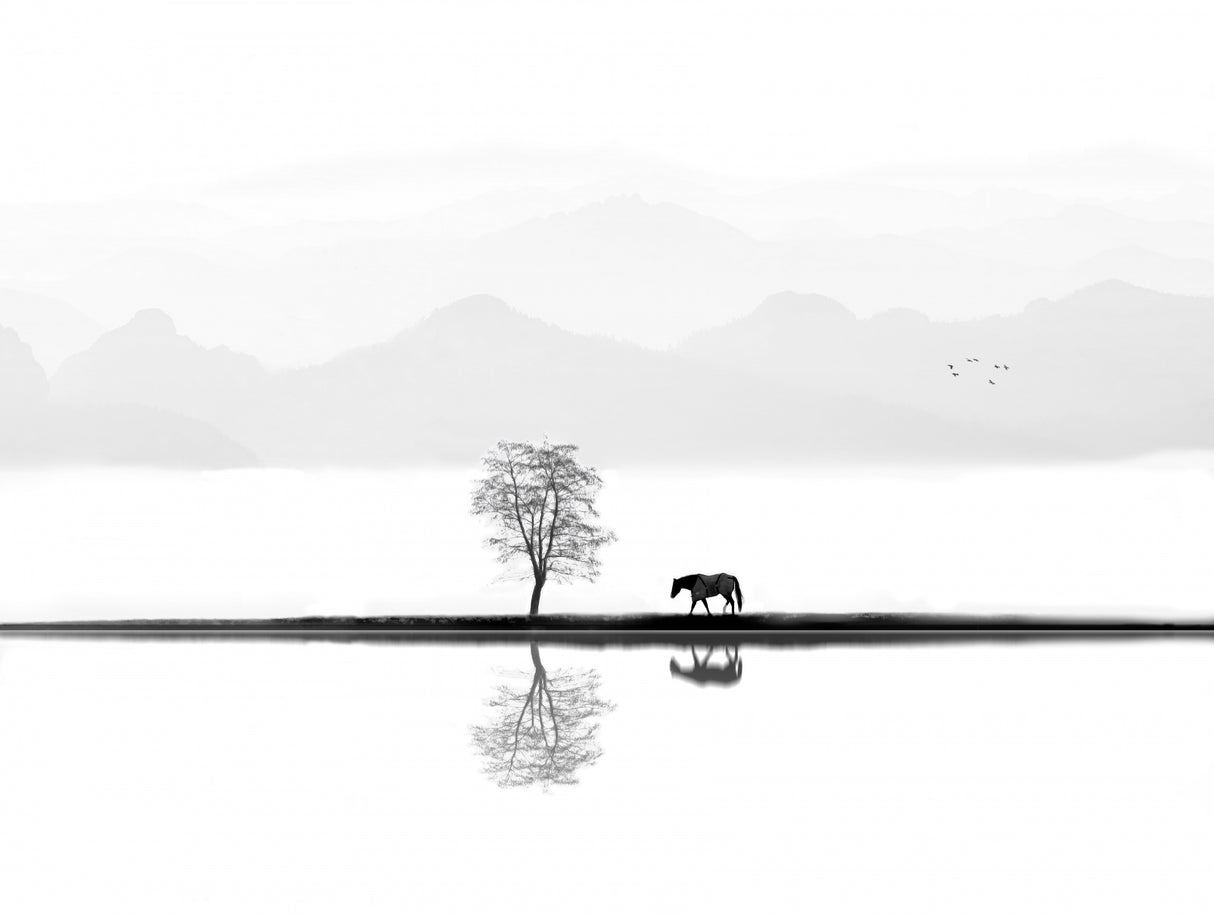 Quiet Moment Poster och Canvastavla