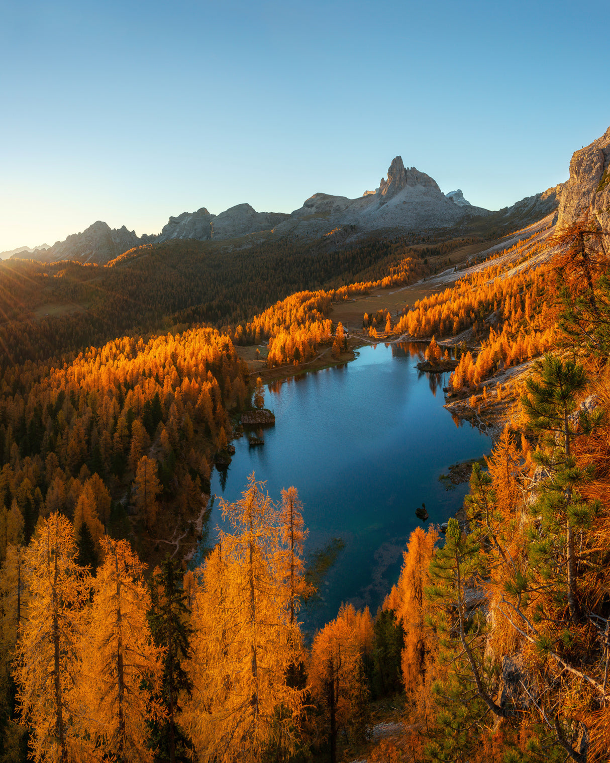 Autumn at Lake Federa Poster och Canvastavla