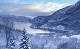 the first snow Poster och Canvastavla