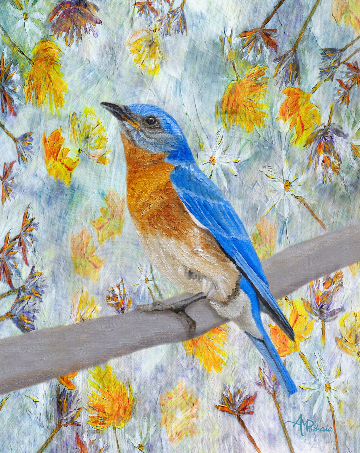 Springtime Eastern Bluebird Poster och Canvastavla