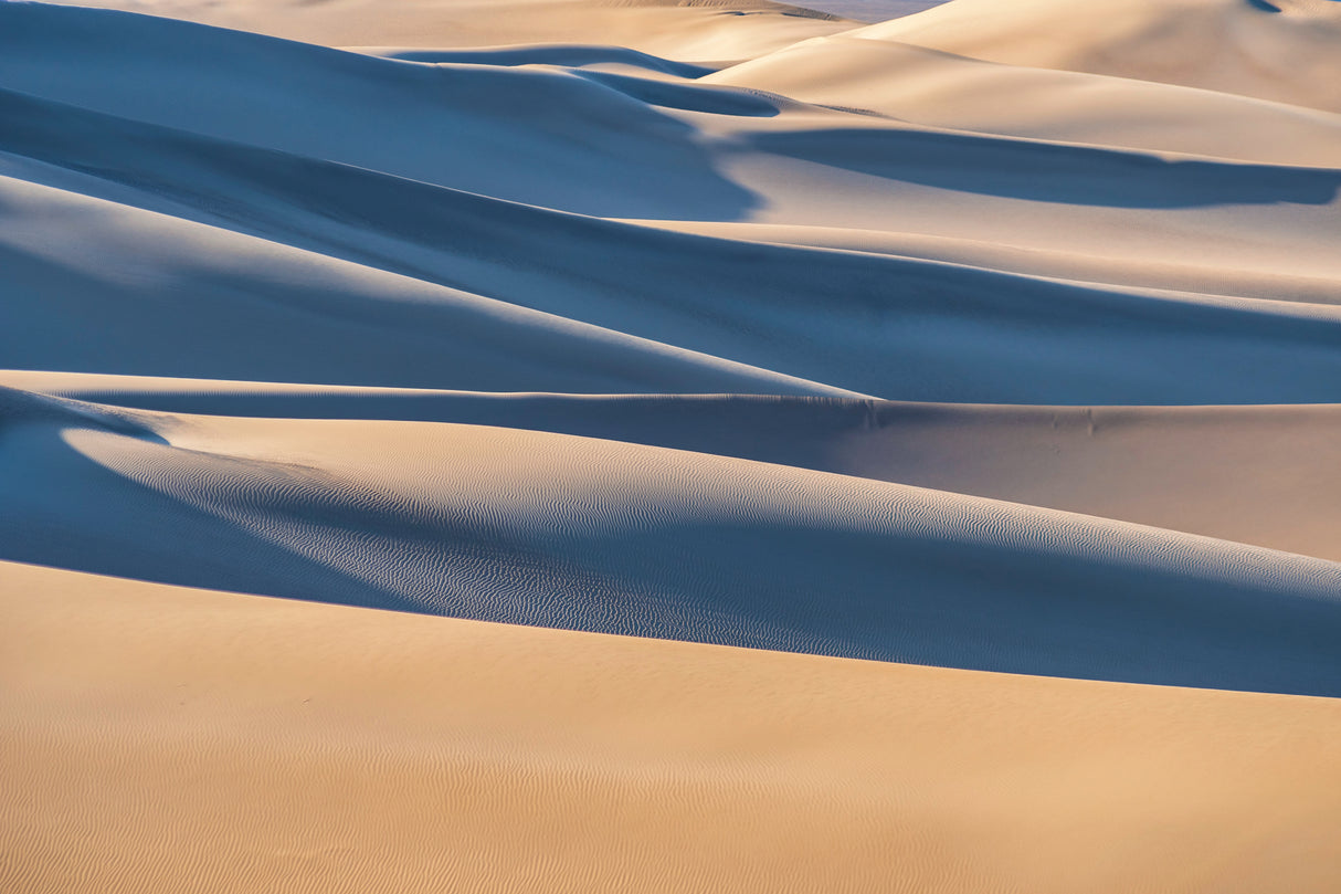 Desert Poster och Canvastavla