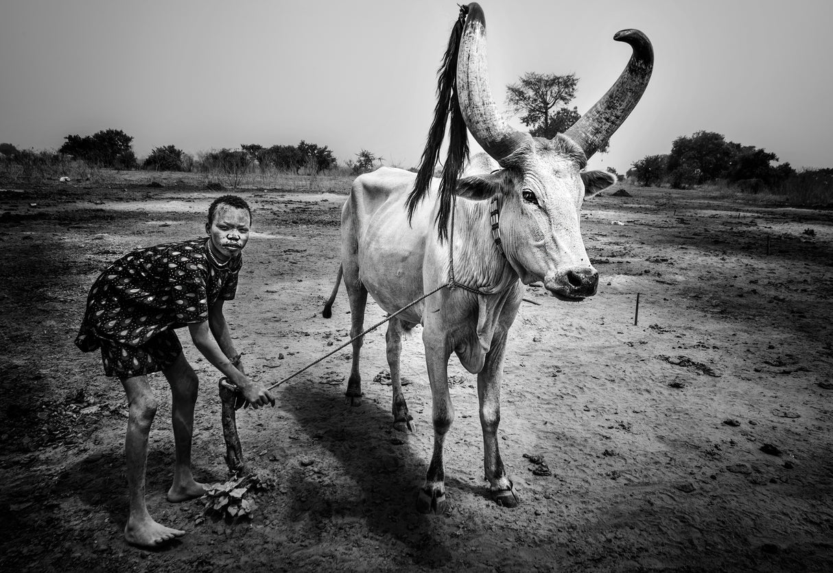 At a mundari cattle camp-I - South Sudan Poster och Canvastavla