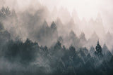 fog Poster och Canvastavla