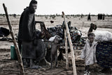 At the camp site in the gerewol festival - Niger Poster och Canvastavla