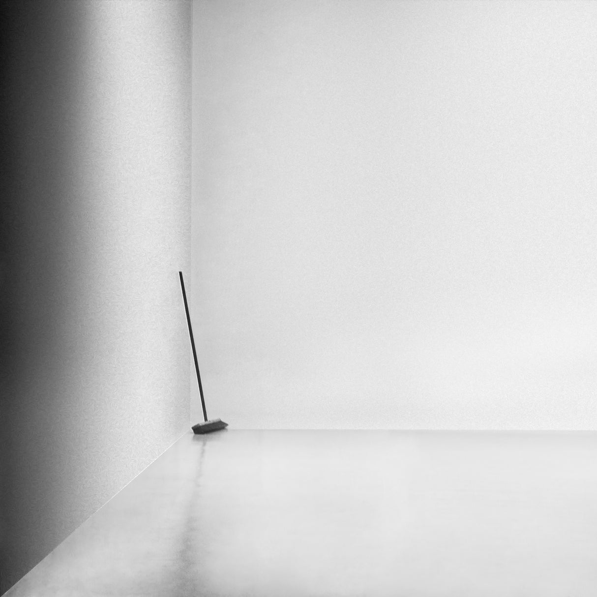 the broom Poster och Canvastavla