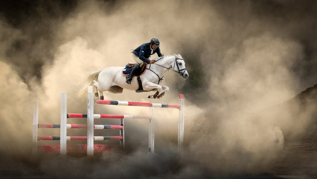 White horse Poster och Canvastavla
