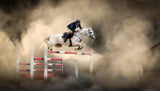 White horse Poster och Canvastavla