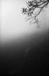 Contemplations Poster och Canvastavla