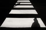 Shadow on the street Poster och Canvastavla