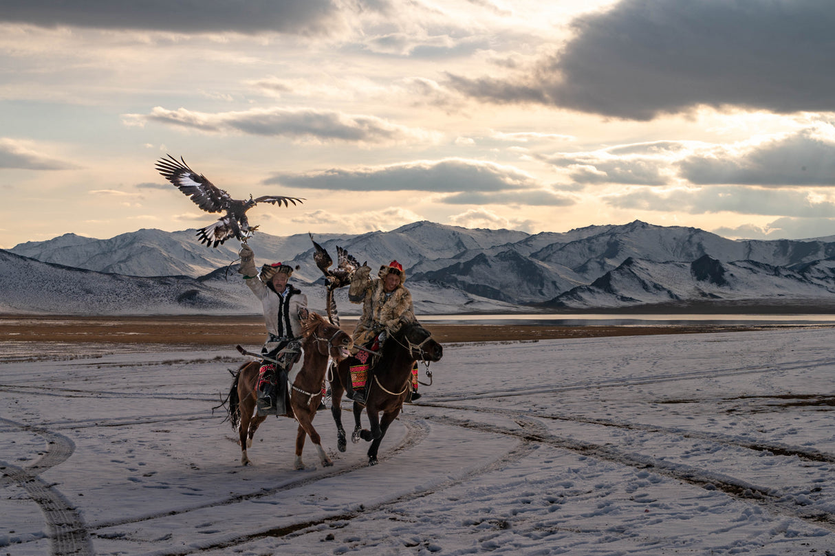 eagle  hunter mongolia Poster och Canvastavla