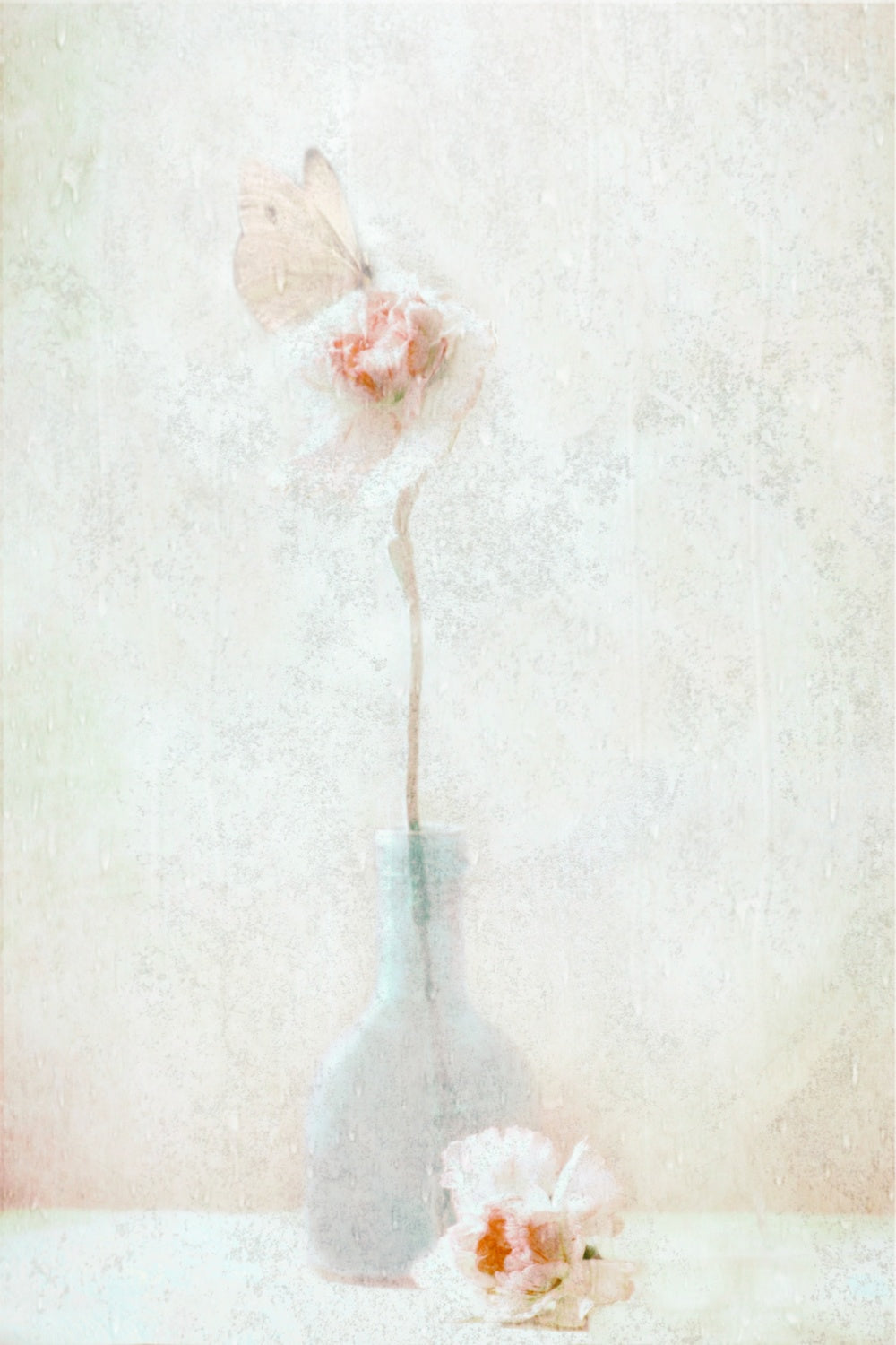 An Ephemeral Moment Poster och Canvastavla