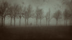 The Last Dawn Poster och Canvastavla