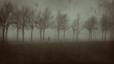 The Last Dawn Poster och Canvastavla