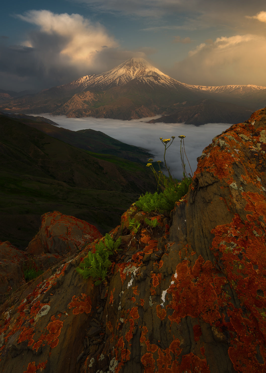 Spring Atmosphere in Mount Damavand Poster och Canvastavla