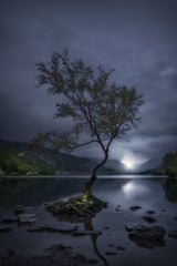 Lake of Light Poster och Canvastavla