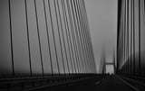 The foggy bridge Poster och Canvastavla