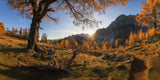 Autumn paradise Poster och Canvastavla