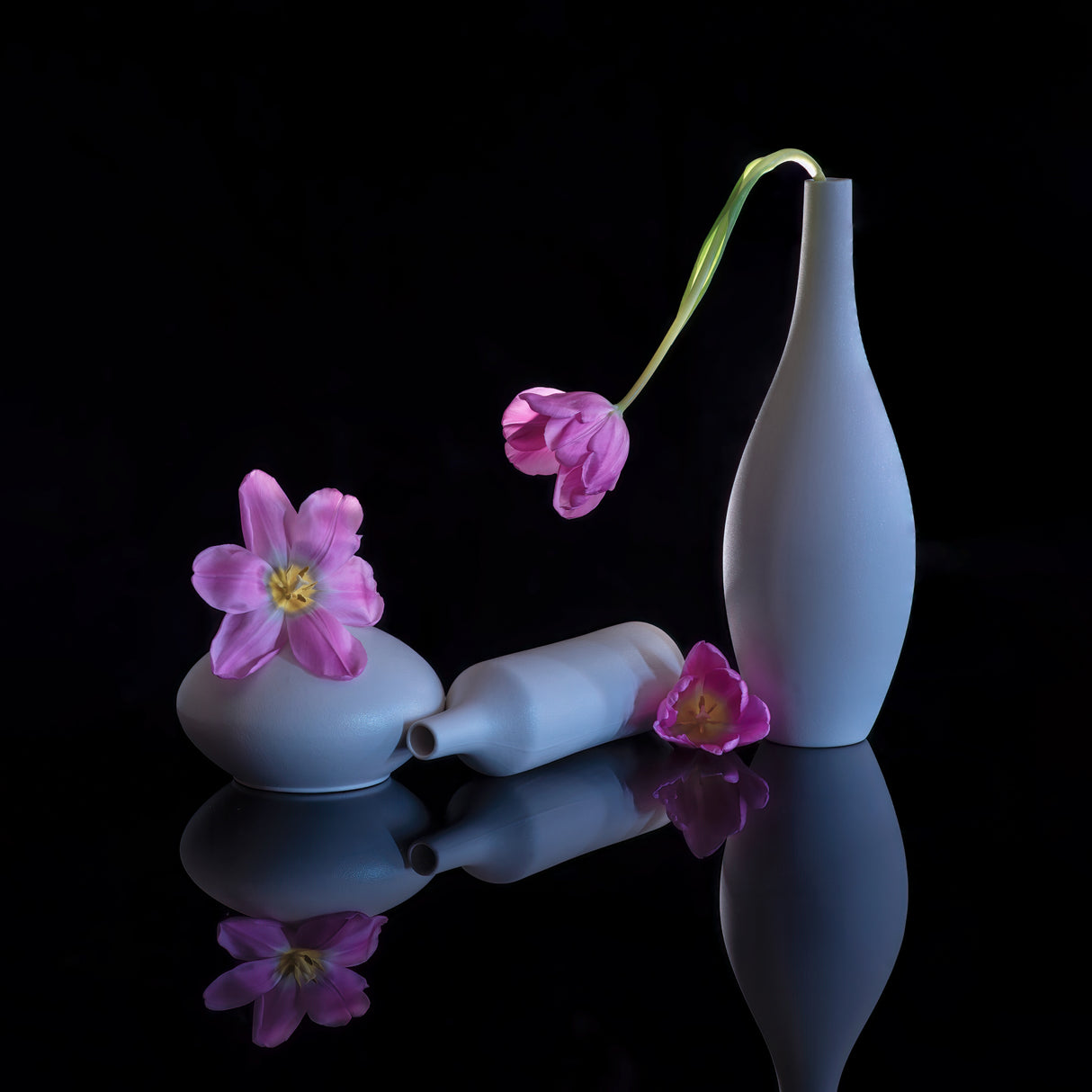 still life 14 Poster och Canvastavla
