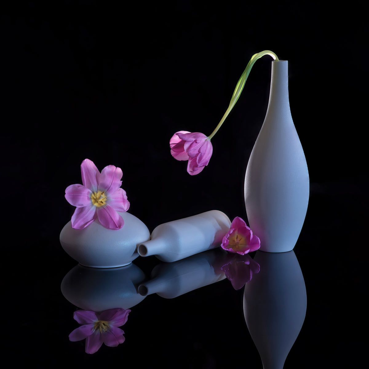 still life 14 Poster och Canvastavla