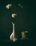 White Roses Poster och Canvastavla