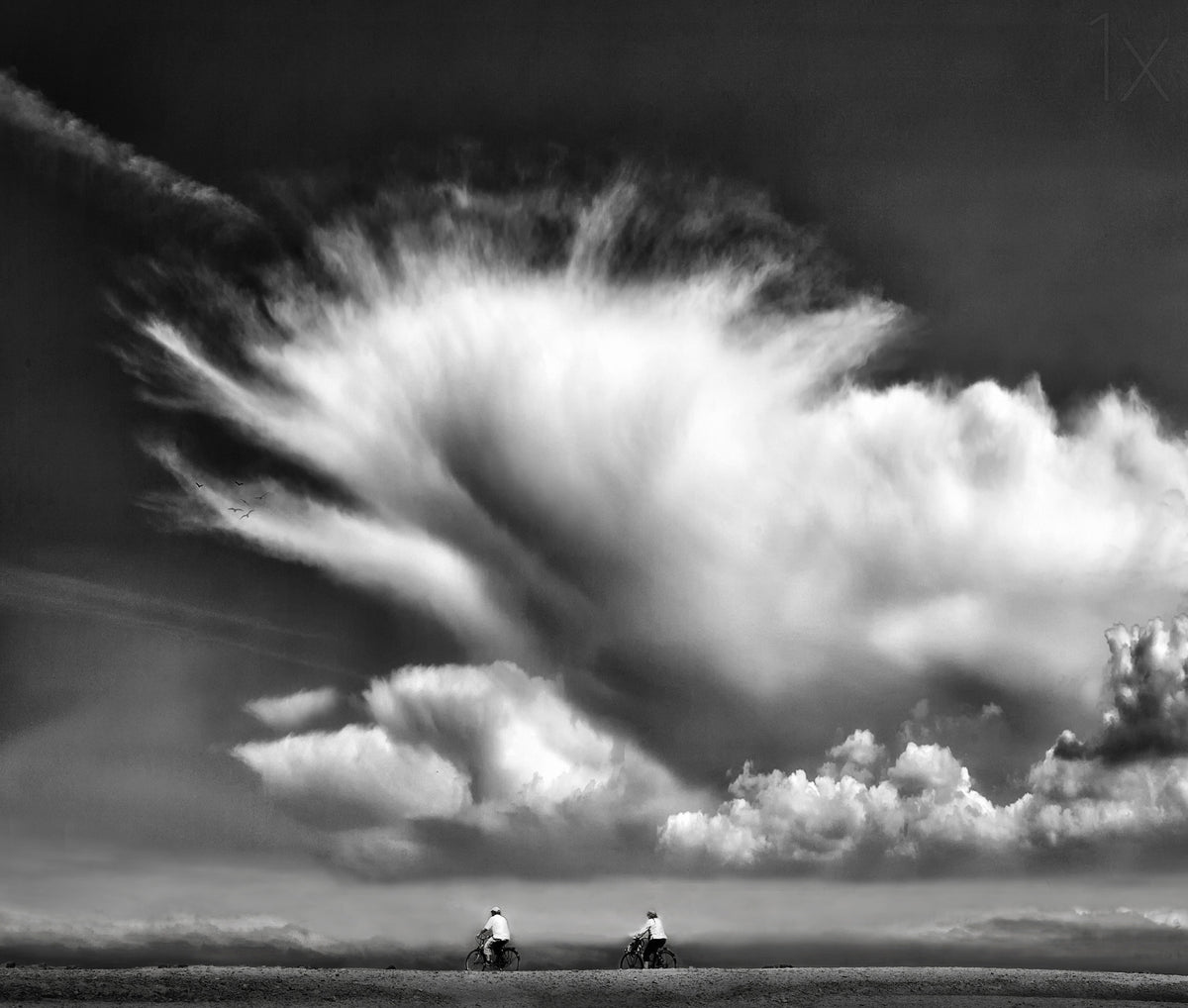 Amongst the clouds ... Poster och Canvastavla